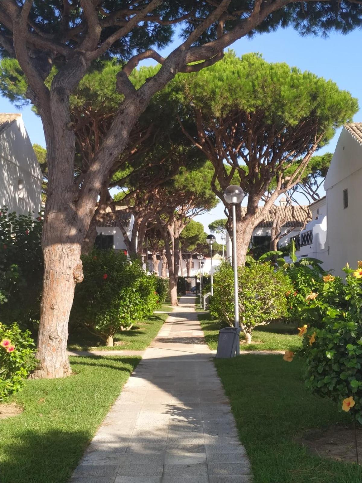 Villa La Barrosa duplex Chiclana de la Frontera Exterior foto